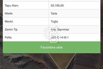 CB VİZYON BÜŞRA ERGÜL DEN ÇUBUK KIZILCA DA TARLA - 9 - 337756