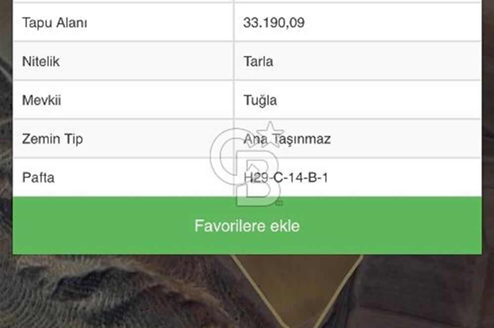 CB VİZYON BÜŞRA ERGÜL DEN ÇUBUK KIZILCA DA TARLA