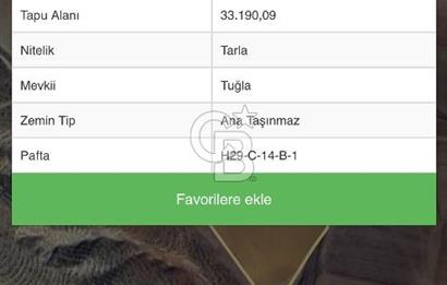 CB VİZYON BÜŞRA ERGÜL DEN ÇUBUK KIZILCA DA TARLA