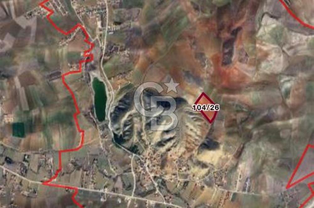 CB VİZYON BÜŞRA ERGÜL DEN ÇUBUK KIZILCA DA TARLA