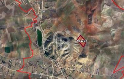 CB VİZYON BÜŞRA ERGÜL DEN ÇUBUK KIZILCA DA TARLA