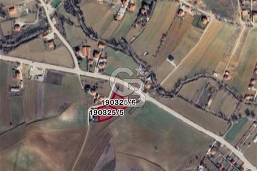 CB VİZYON BÜŞRA ERGÜL DEN ÇUBUK KIZILCA DA SATILIK ARSALAR