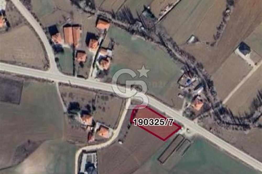 CB VİZYON BÜŞRA ERGÜL DEN ÇUBUK KIZILCA DA SATILIK ARSALAR