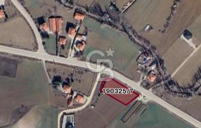 CB VİZYON BÜŞRA ERGÜL DEN ÇUBUK KIZILCA DA SATILIK ARSALAR