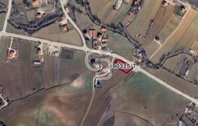 CB VİZYON BÜŞRA ERGÜL DEN ÇUBUK KIZILCA DA SATILIK ARSALAR