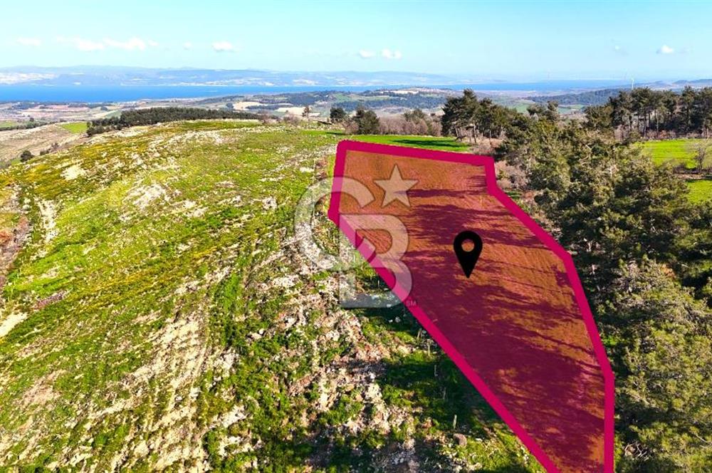 Çanakkale Kızılkeçilide Full Boğaz ve Köprü Manzaralı Tarla