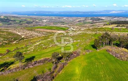 Çanakkale Kızılkeçilide Full Boğaz ve Köprü Manzaralı Tarla