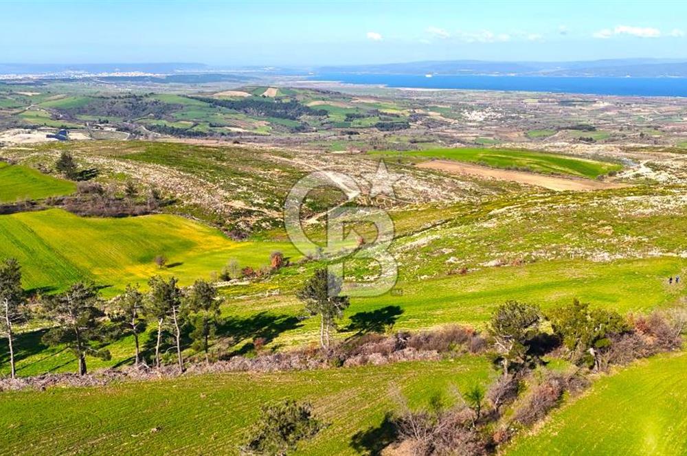 Çanakkale Kızılkeçilide Full Boğaz ve Köprü Manzaralı Tarla