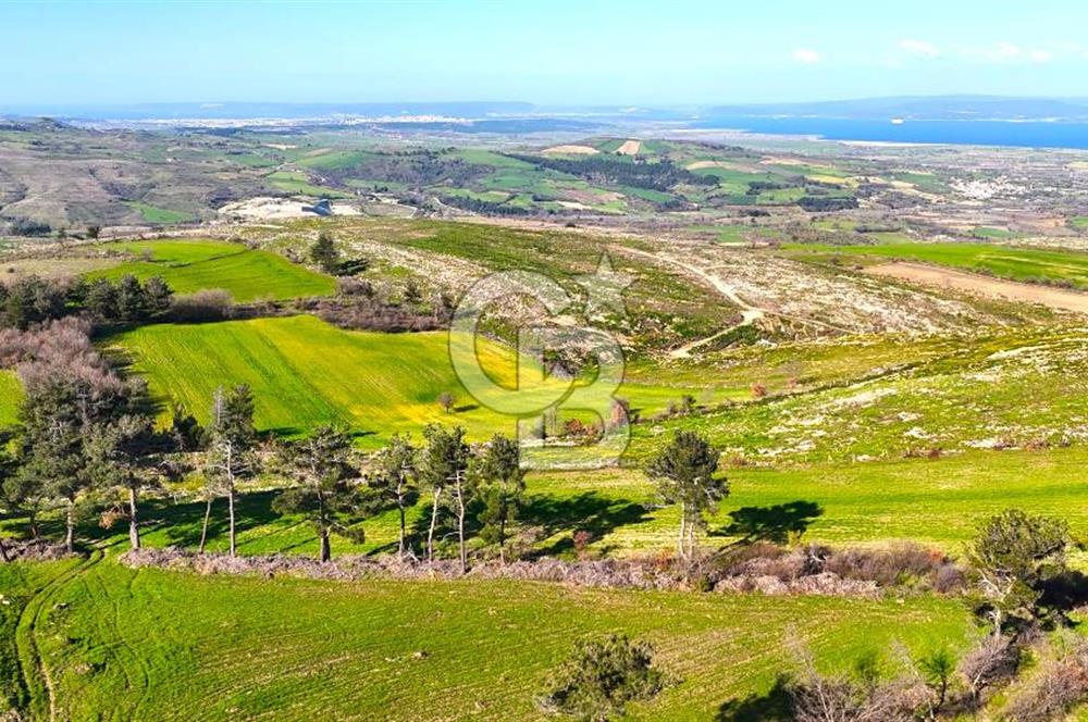 Çanakkale Kızılkeçilide Full Boğaz ve Köprü Manzaralı Tarla