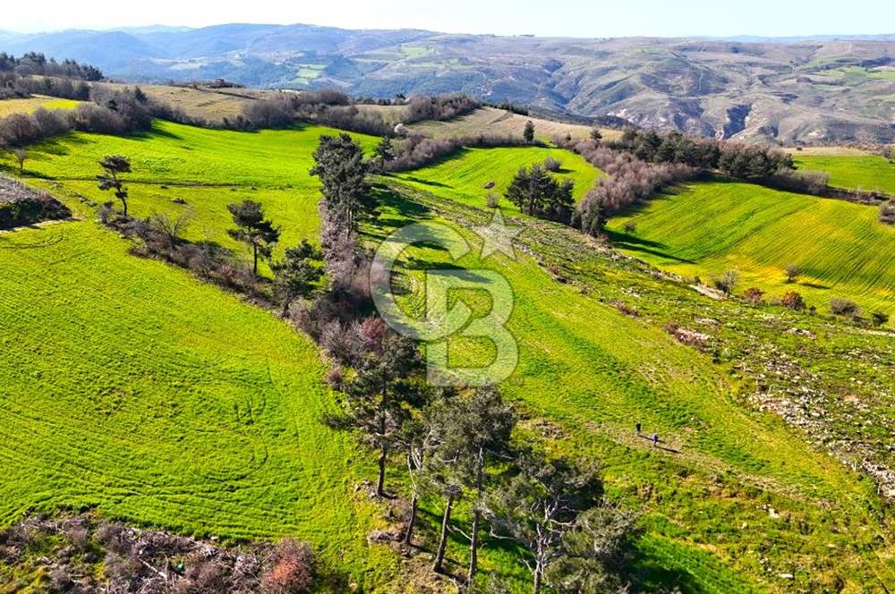 Çanakkale Kızılkeçilide Full Boğaz ve Köprü Manzaralı Tarla