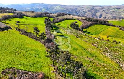 Çanakkale Kızılkeçilide Full Boğaz ve Köprü Manzaralı Tarla