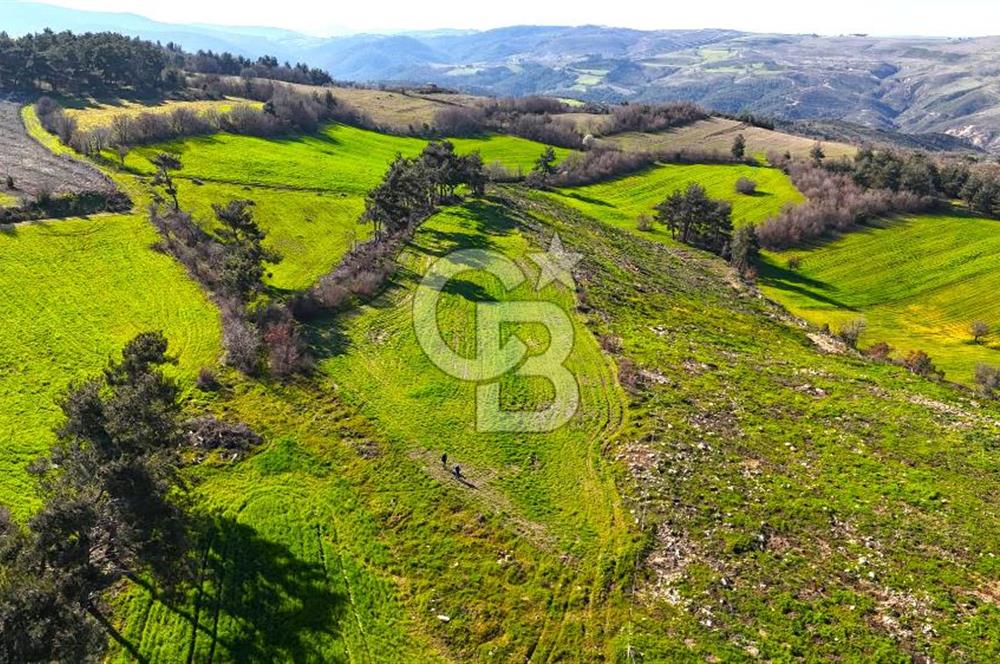 Çanakkale Kızılkeçilide Full Boğaz ve Köprü Manzaralı Tarla