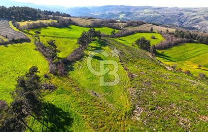 Çanakkale Kızılkeçilide Full Boğaz ve Köprü Manzaralı Tarla