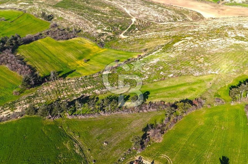 Çanakkale Kızılkeçilide Full Boğaz ve Köprü Manzaralı Tarla