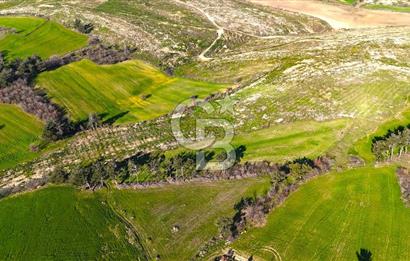 Çanakkale Kızılkeçilide Full Boğaz ve Köprü Manzaralı Tarla