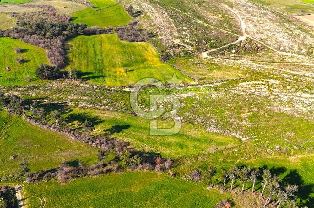 Çanakkale Kızılkeçilide Full Boğaz ve Köprü Manzaralı Tarla
