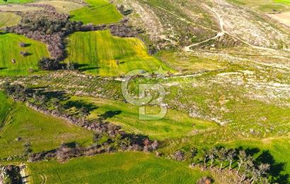 Çanakkale Kızılkeçilide Full Boğaz ve Köprü Manzaralı Tarla