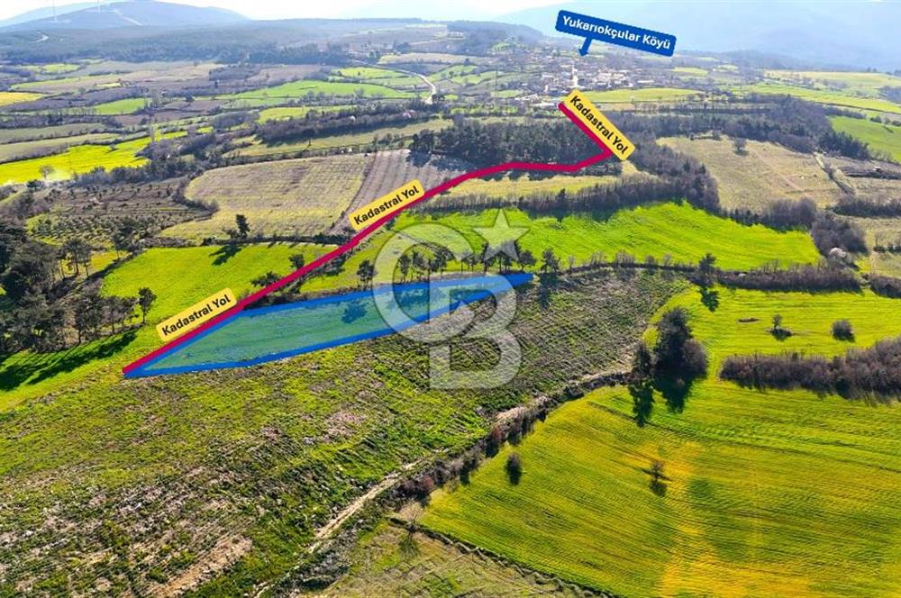 Çanakkale Kızılkeçilide Full Boğaz ve Köprü Manzaralı Tarla