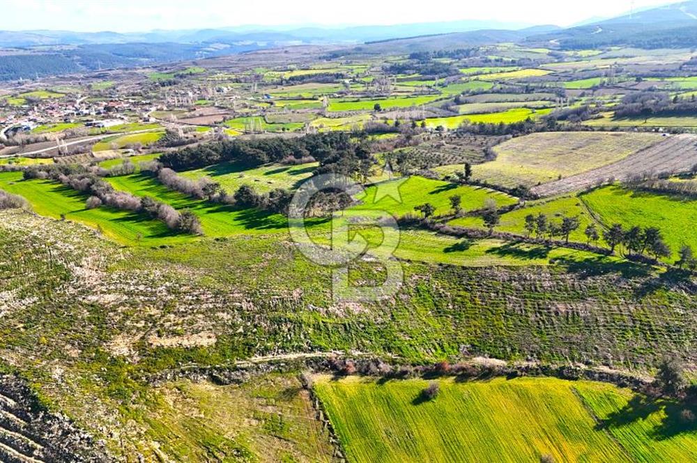 Çanakkale Kızılkeçilide Full Boğaz ve Köprü Manzaralı Tarla