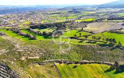 Çanakkale Kızılkeçilide Full Boğaz ve Köprü Manzaralı Tarla