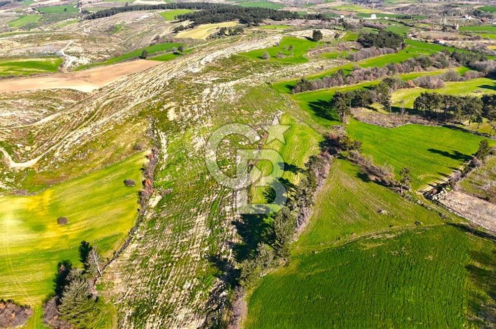 Çanakkale Kızılkeçilide Full Boğaz ve Köprü Manzaralı Tarla