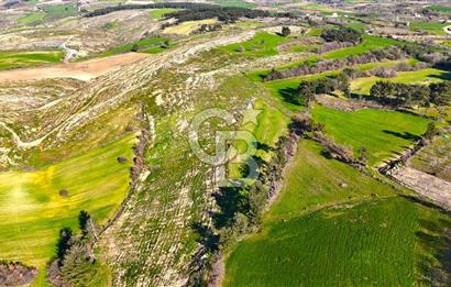 Çanakkale Kızılkeçilide Full Boğaz ve Köprü Manzaralı Tarla