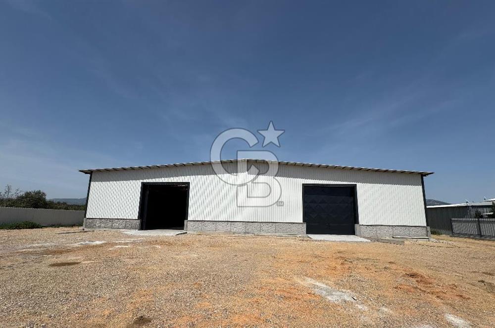 Kemalpaşa'da 1000 m2 Tır Girişine uygun Sıfır Kiralık Depo