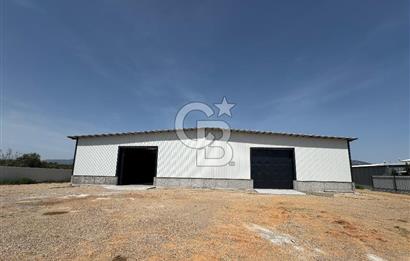 Kemalpaşa'da 1000 m2 Tır Girişine uygun Sıfır Kiralık Depo