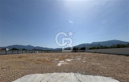 Kemalpaşa'da 1000 m2 Tır Girişine uygun Sıfır Kiralık Depo