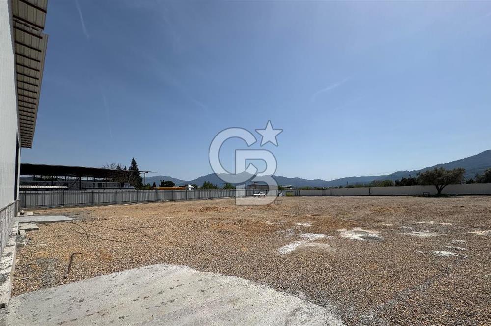 Kemalpaşa'da 1000 m2 Tır Girişine uygun Sıfır Kiralık Depo