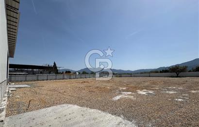 Kemalpaşa'da 1000 m2 Tır Girişine uygun Sıfır Kiralık Depo