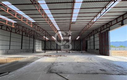 Kemalpaşa'da 1000 m2 Tır Girişine uygun Sıfır Kiralık Depo
