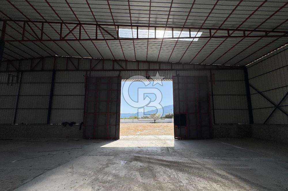 Kemalpaşa'da 1000 m2 Tır Girişine uygun Sıfır Kiralık Depo