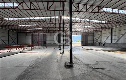 Kemalpaşa'da 1000 m2 Tır Girişine uygun Sıfır Kiralık Depo