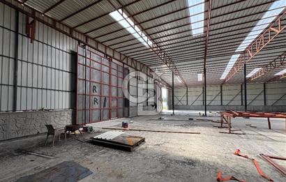 Kemalpaşa'da 1000 m2 Tır Girişine uygun Sıfır Kiralık Depo