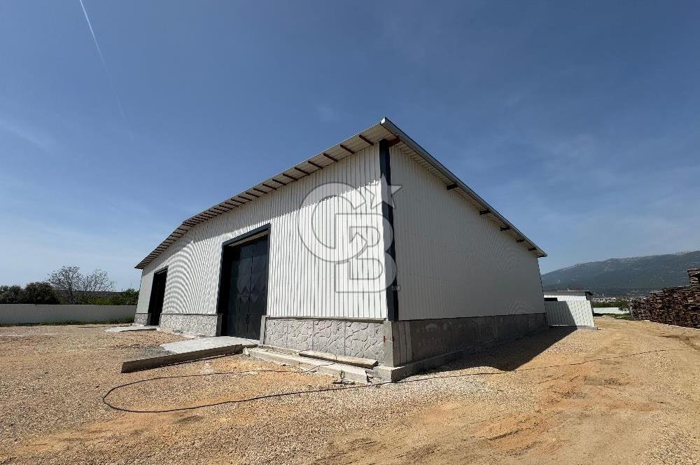 Kemalpaşa'da 1000 m2 Tır Girişine uygun Sıfır Kiralık Depo