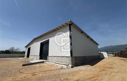 Kemalpaşa'da 1000 m2 Tır Girişine uygun Sıfır Kiralık Depo