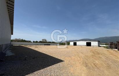Kemalpaşa'da 1000 m2 Tır Girişine uygun Sıfır Kiralık Depo