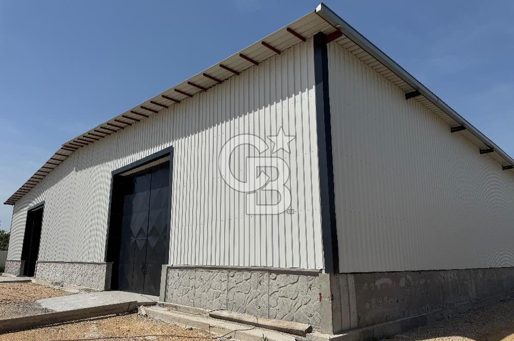 Kemalpaşa'da 1000 m2 Tır Girişine uygun Sıfır Kiralık Depo
