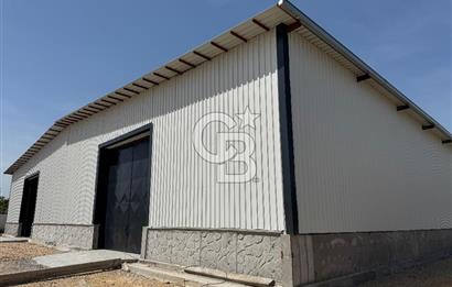 Kemalpaşa'da 1000 m2 Tır Girişine uygun Sıfır Kiralık Depo