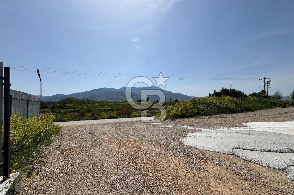 Kemalpaşa'da 1000 m2 Tır Girişine uygun Sıfır Kiralık Depo