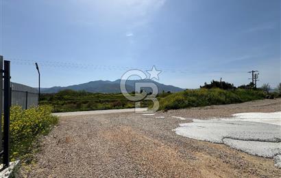 Kemalpaşa'da 1000 m2 Tır Girişine uygun Sıfır Kiralık Depo