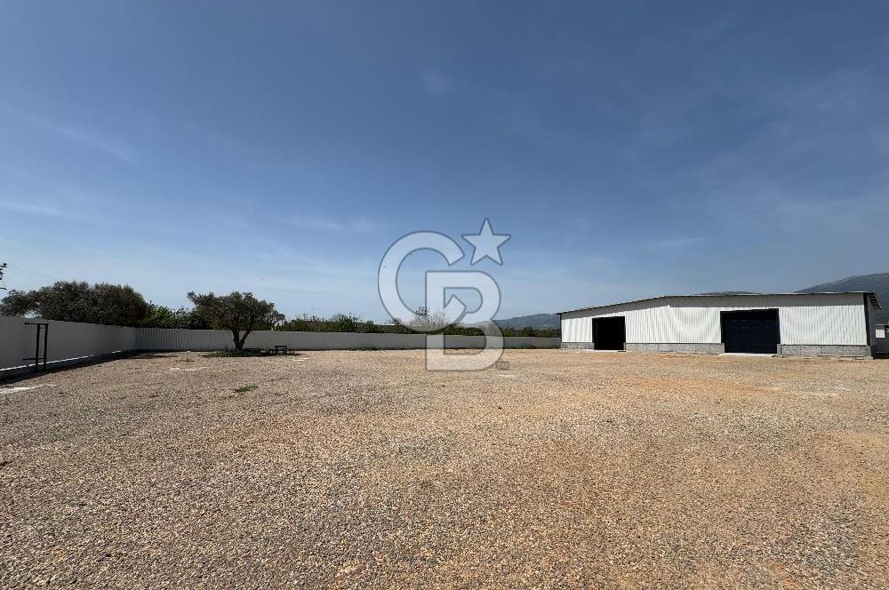 Kemalpaşa'da 1000 m2 Tır Girişine uygun Sıfır Kiralık Depo