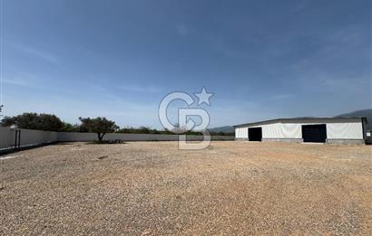 Kemalpaşa'da 1000 m2 Tır Girişine uygun Sıfır Kiralık Depo