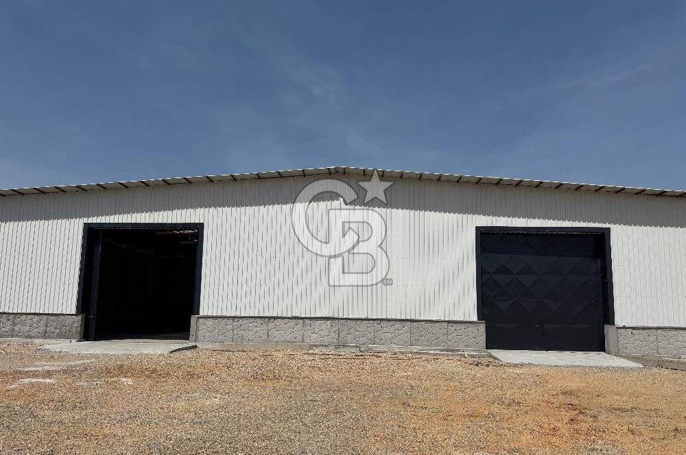 Kemalpaşa'da 1000 m2 Tır Girişine uygun Sıfır Kiralık Depo
