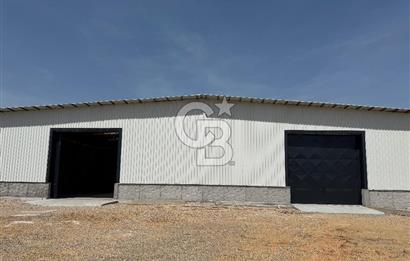 Kemalpaşa'da 1000 m2 Tır Girişine uygun Sıfır Kiralık Depo