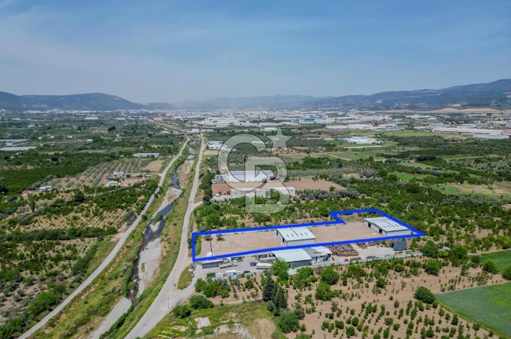 Kemalpaşa'da 1000 m2 Tır Girişine uygun Sıfır Kiralık Depo