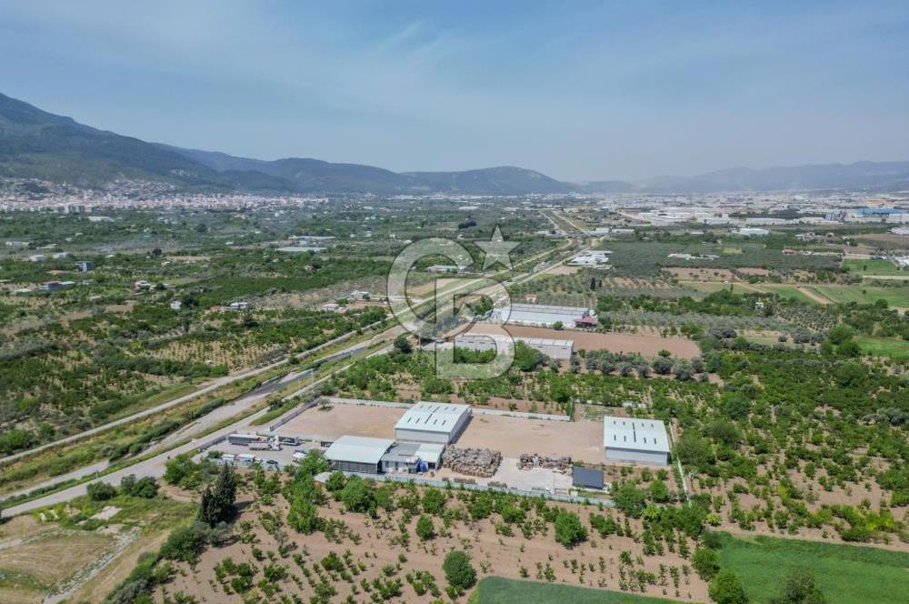 Kemalpaşa'da 1000 m2 Tır Girişine uygun Sıfır Kiralık Depo