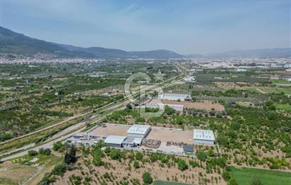 Kemalpaşa'da 1000 m2 Tır Girişine uygun Sıfır Kiralık Depo