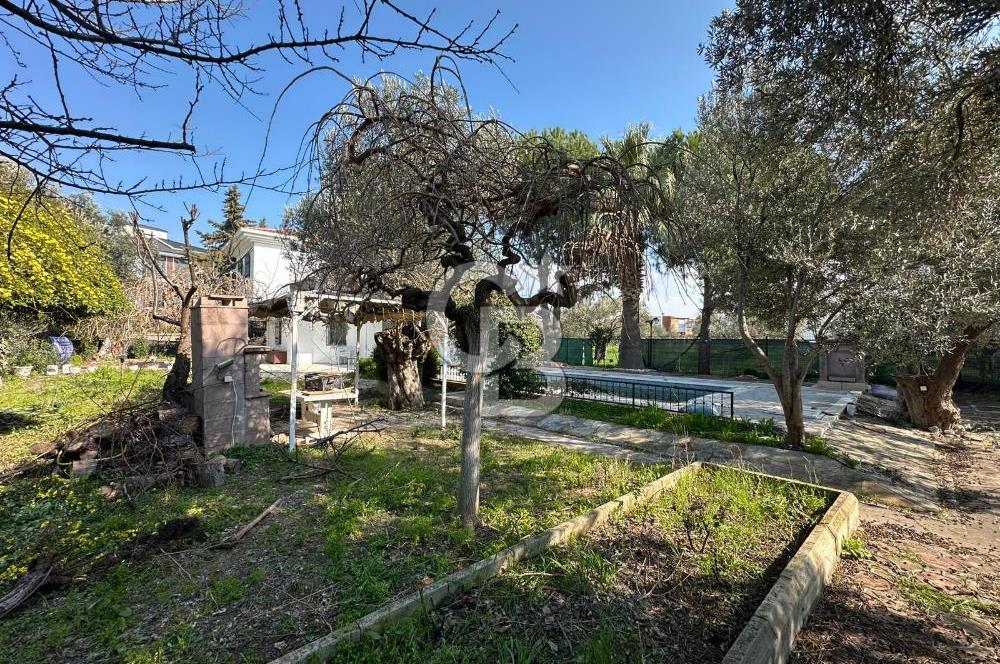 Denize 100m Özel Havuzlu 920m2 Arsada Şömineli Satılık 4+1 Villa